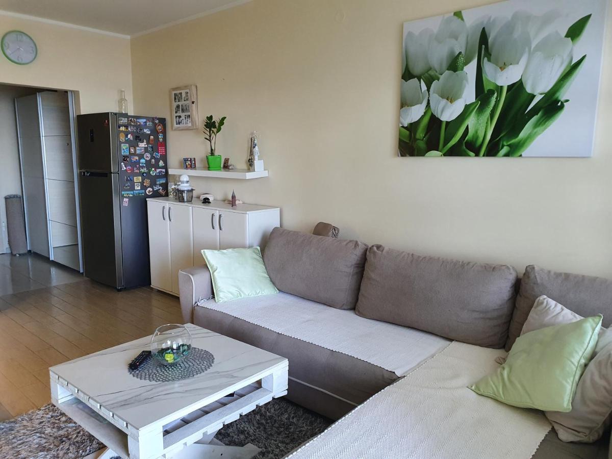 Lux Apartment Vidovic ラファイロヴィチ エクステリア 写真